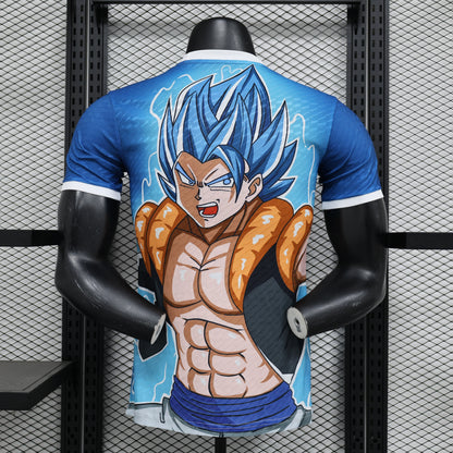 KIT CONCEPT JAPONAIS 24 DRAGON BALL Z