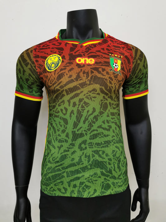 CAMEROON HOME KIT 24