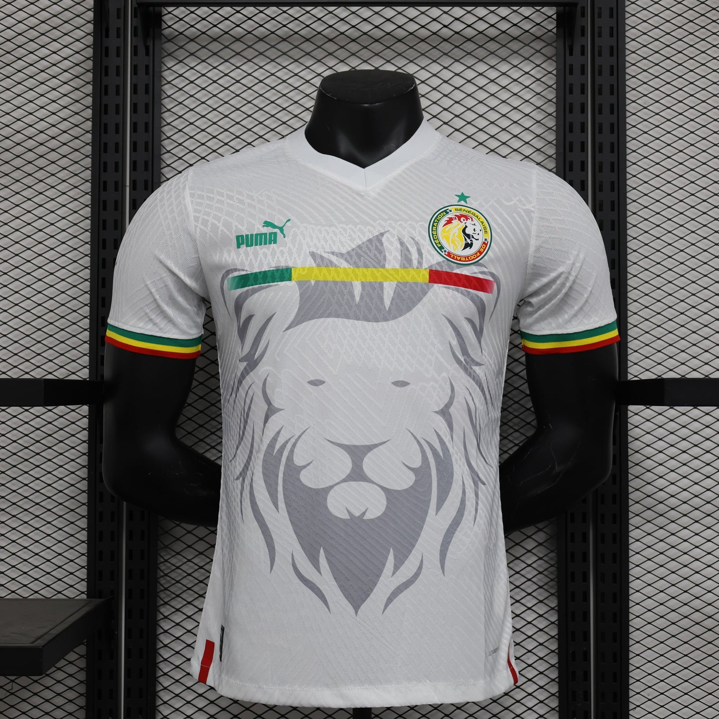 SENEGAL-AUSWÄRTS-KIT 23